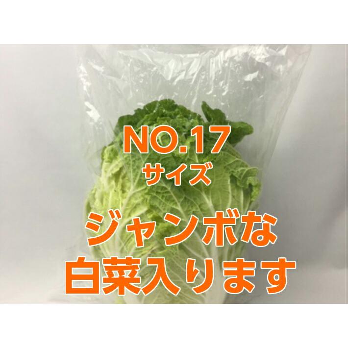 オリジナル】ボードン袋 OPPボードン #25 NO.17 0.025×360×500mm【4穴