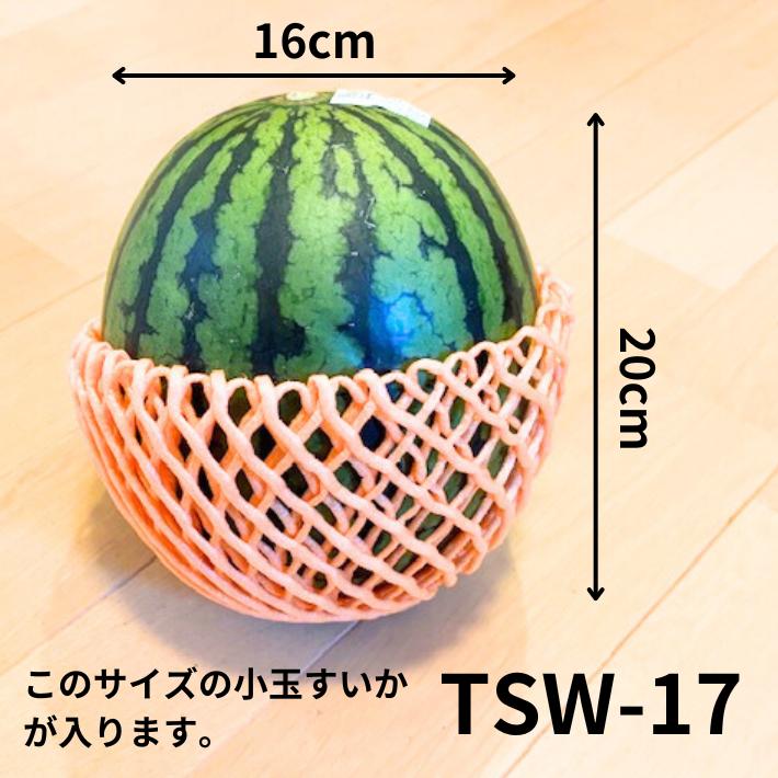 フルーツキャップ他 平箱緩衝材 緩衝材 フルーツキャップ TSW-17 グリーン 緑 【ダブル】 17cm 【100個