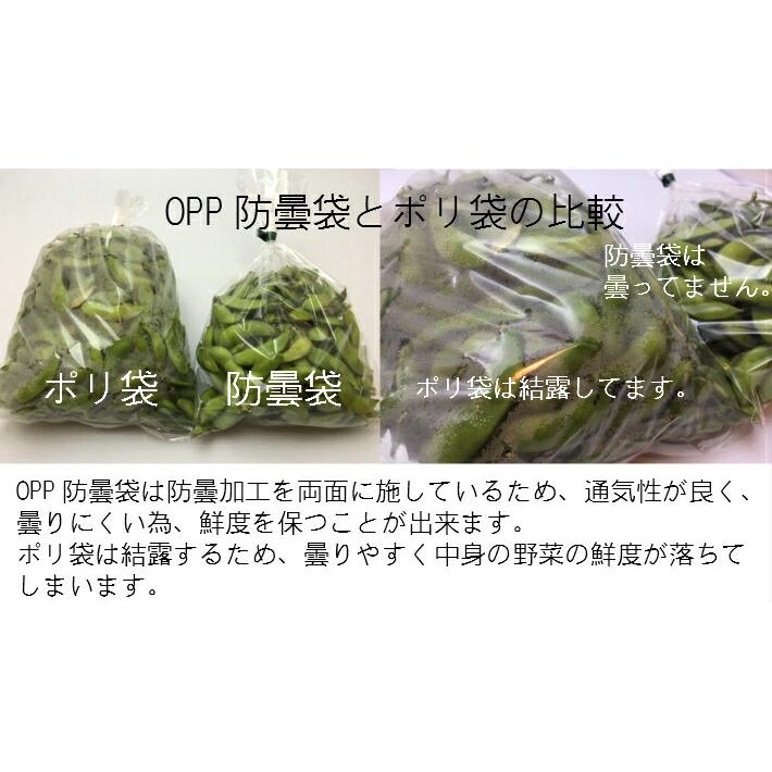 ケース】OPP ハイパーボードン #20 NO.11 【4穴】0.02×200×300mm