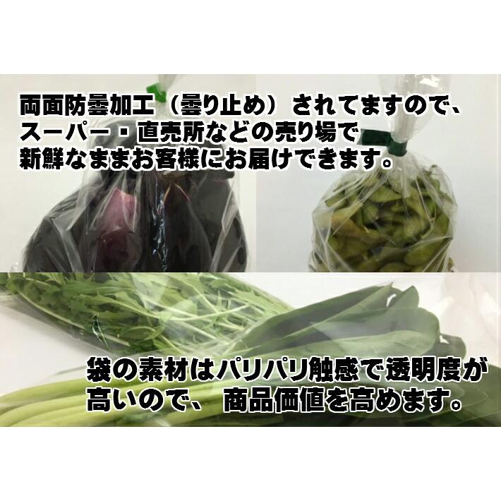 ケース】OPP ハイパーボードン #20 NO.11 【4穴】0.02×200×300mm