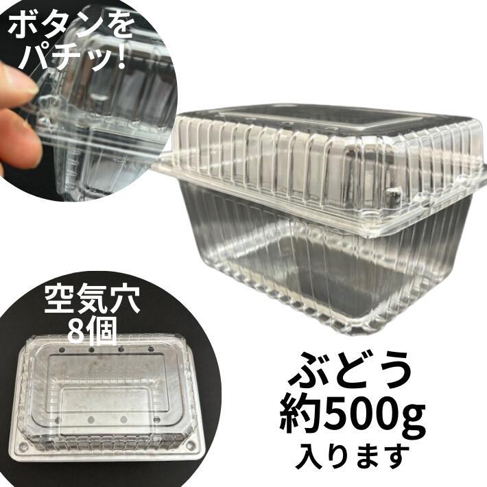 フルーツ 600 8H 穴8個 ボタン嵌合【50枚】 180(160)×130(110)×本体70+