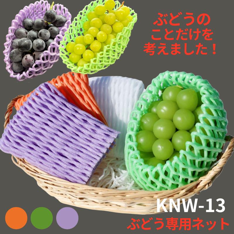 信和（包装資材） フルーツキャップ KNW-13 ゴム無 グリーン オレンジ