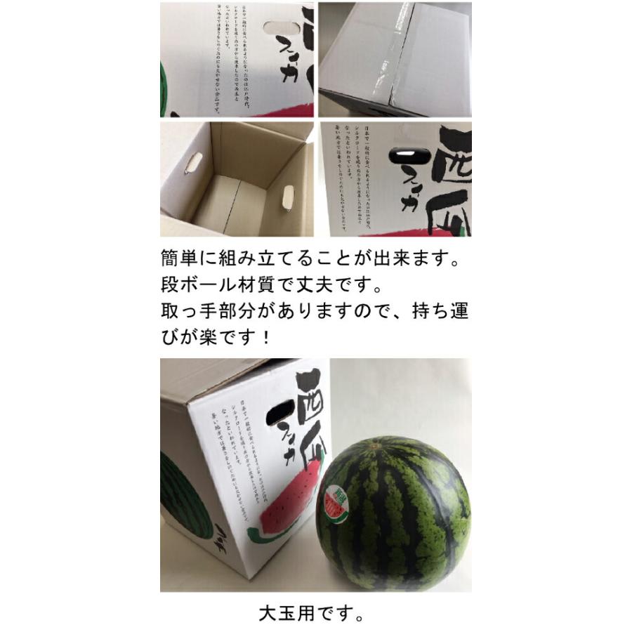 段ボール箱】スイカ箱 特大 1ケ入【10枚】大玉 すいか用 外寸 段ボール箱】スイカ箱 特大 1ケ入【10枚】大玉 すいか用 外寸