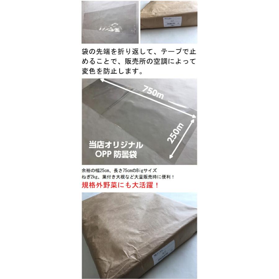 文房具・事務用品 ボードン袋(ロング)25HL-75 4Hプラ入 2300枚