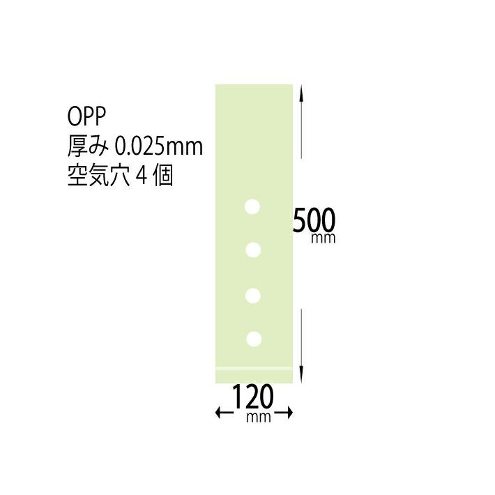 OPP ハイパーボードン 25HL-52 【4穴】 0.025×120×500mm 【1000枚】 プラマークなし 信和 防曇袋 野菜袋 出荷袋 長物袋 OPP ボードン 0.025 120×500 アスパラ｜fukuroya-shopping｜02