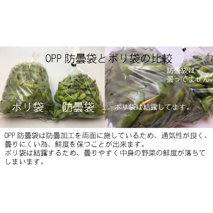 OPP ハイパーボードン #25 NO.11 4穴 0.025×200×300mm 1000枚入 （プラ