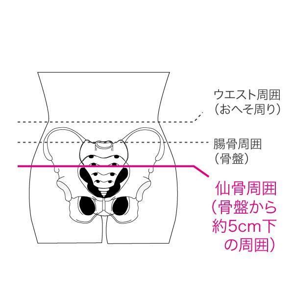 bonbone □公式□骨盤ベルト バリアスツイスト カラーメッシュタイプ