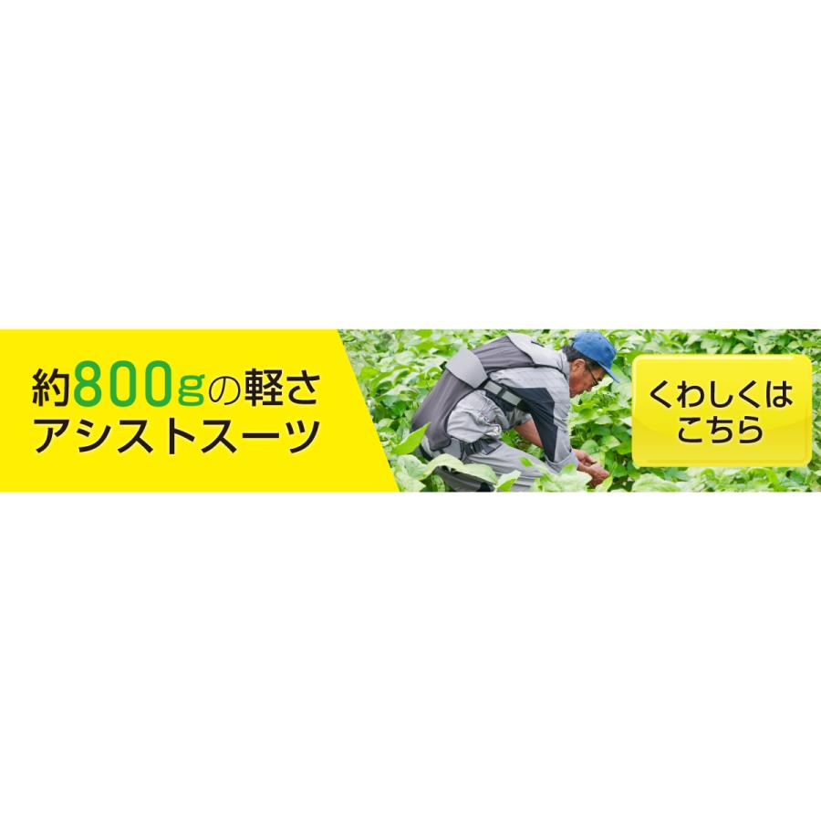 DAIYA（ダイヤ工業） □公式□アシストスーツ DARWING Hakobelude