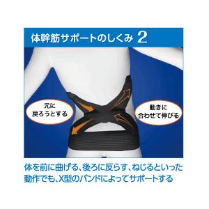 MOGU POJI骨盤姿勢　体幹筋サポーター M/Sサイズ 骨盤 腰 ベルト サポーター コルセット ギフト_2