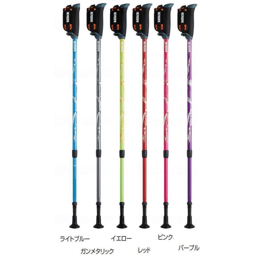 羽立工業 HATACHI DFPプログレッシブズーム 2本1組 ノルディック