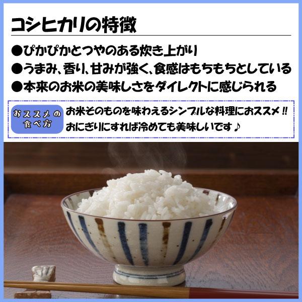 コシヒカリ 米 お米 白米15kg 小分け 5kg×3袋 令和5年産 福島県会津産｜fukushima-bussan｜03