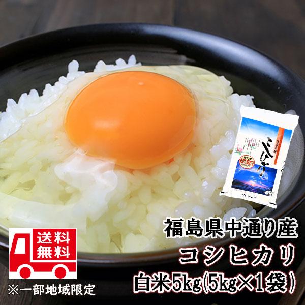 コシヒカリ 米 お米 白米5kg 令和6年産 福島県中通り産 : 福島 コシヒカリ 米 お米 白米5kg 令和6年産 福島県中通り産 : 福島