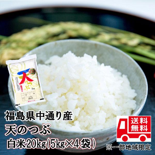 天のつぶ 米 お米 白米20kg 小分け対応 5kg×4袋 令和6年産 福島 天のつぶ 米 お米 白米20kg 小分け対応 5kg×4袋 令和6年産 福島
