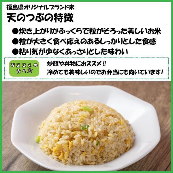 天のつぶ 米 お米 白米20kg 小分け対応 5kg×4袋 令和5年産 福島県中通り産｜fukushima-bussan｜03
