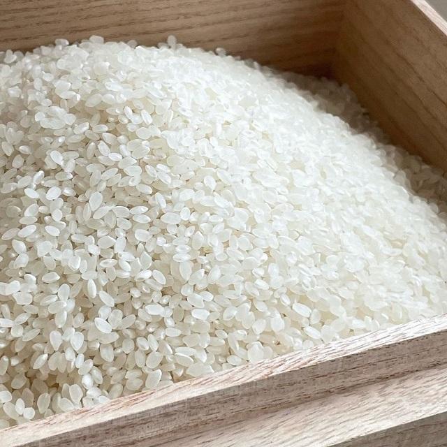 【GW前:最終受注4/22！】【令和7年産】会津コシヒカリ　米でいいの田゛10kg (5kg×2袋) 福島県 会津 コシヒカリ お米 精米 お取り寄せ 送料込_2