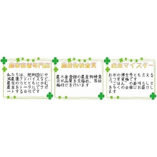 令和７年　「お米の女王」福島県会津産ミルキークイーン　白米５kg×２袋／計精米10kg