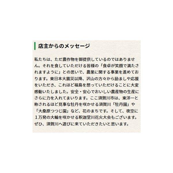 令和７年　「お米の女王」福島県会津産ミルキークイーン　白米５kg×２袋／計精米10kg