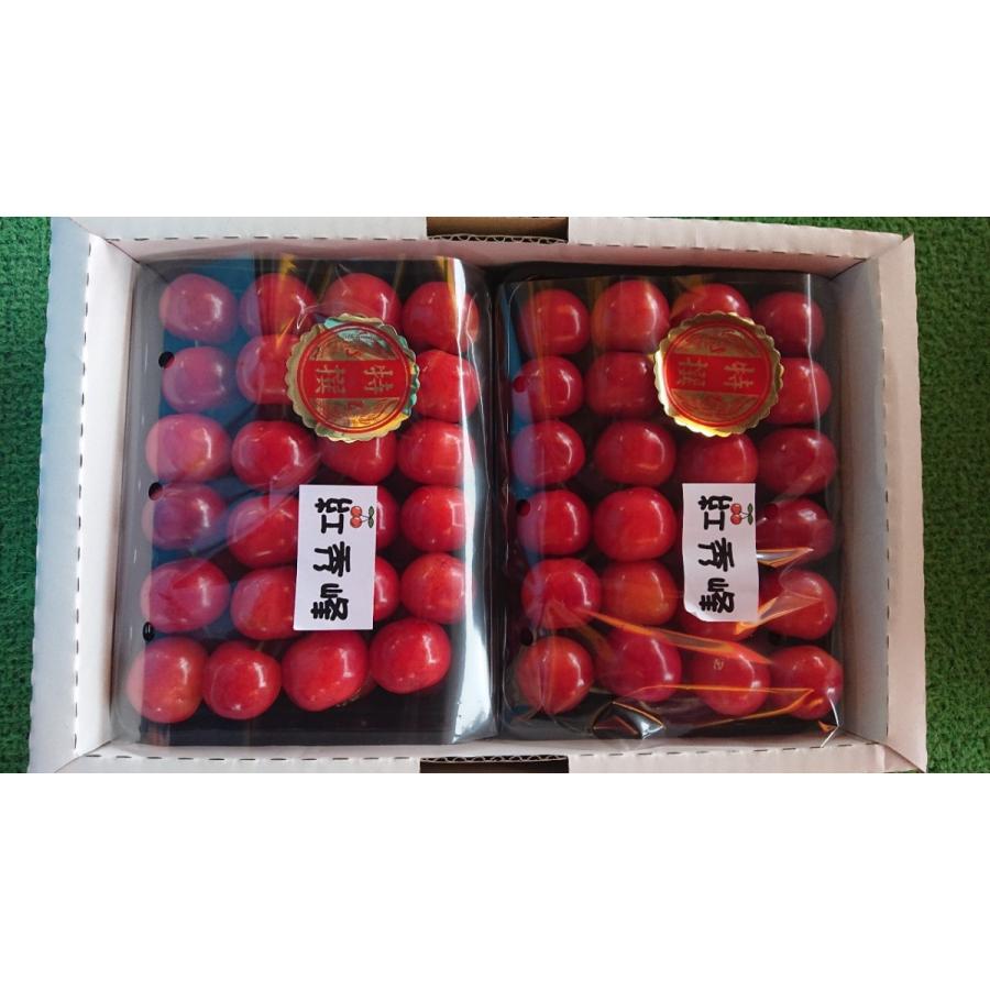 まるせい果樹園 さくらんぼ 紅秀峰 極上品 Benisyuuhou1 まるせい果樹園 通販 Yahoo ショッピング