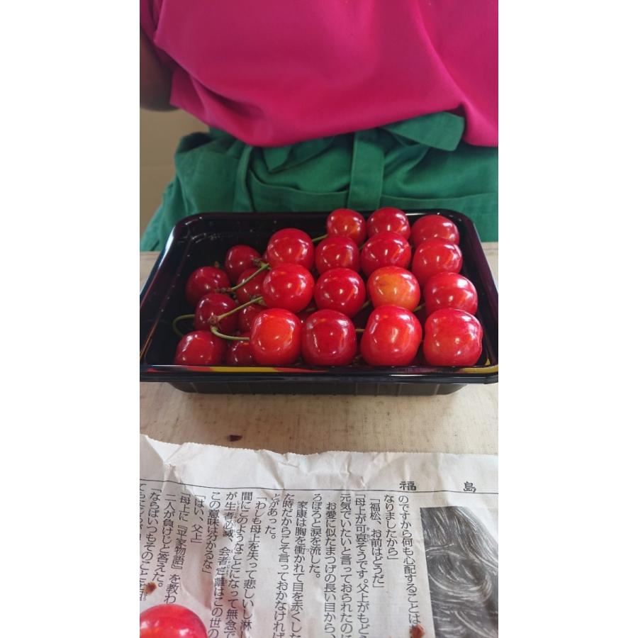 まるせい果樹園 さくらんぼ 紅秀峰 極上品 Benisyuuhou1 まるせい果樹園 通販 Yahoo ショッピング