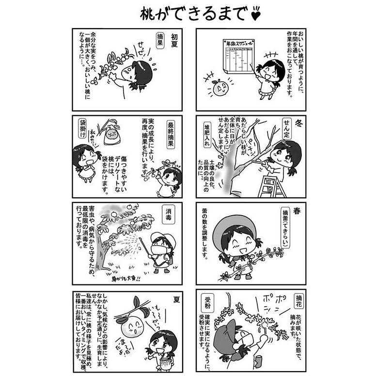 白鳳 自家用 まるせい果樹園の桃 J3 まるせい果樹園 通販 Yahoo ショッピング
