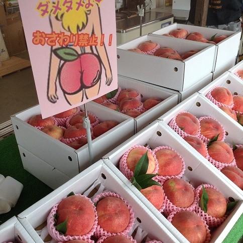 まるせい果樹園の桃 あかつき 中箱 ご贈答用 K24 まるせい果樹園 通販 Yahoo ショッピング