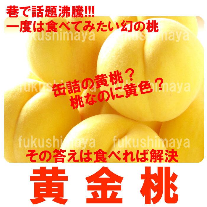 1335円 リアル 桃 黄金桃 黄貴妃等 福島県 献上桃の郷 桑折町産 1 7kg箱 5 7玉入 ふくしまプライド 体感キャンペーン 果物 野菜