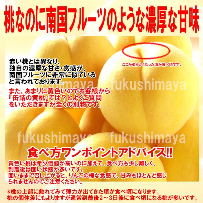 桃 黄金桃 黄貴妃等 福島県 献上桃の郷 桑折町産 1kg箱 3〜5玉入
