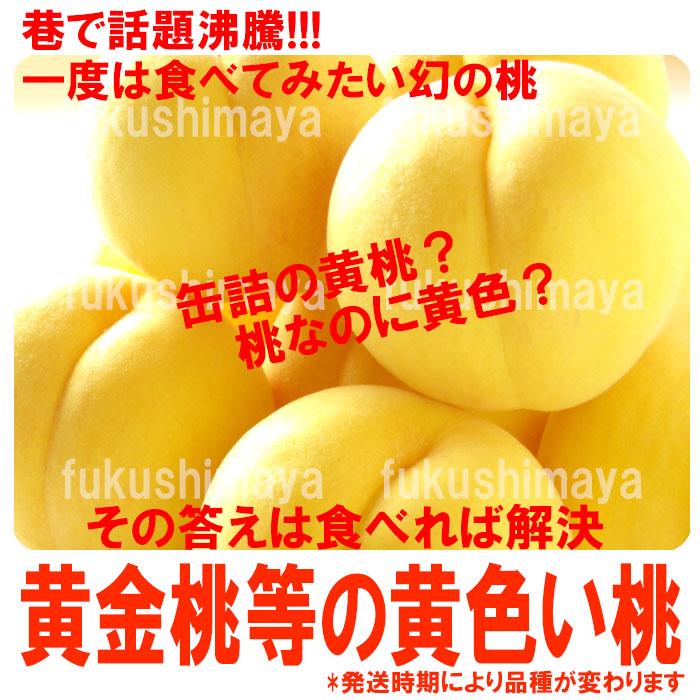 桃 黄金桃 黄貴妃等 福島県 献上桃の郷 桑折町産 5kg箱 12〜18玉入