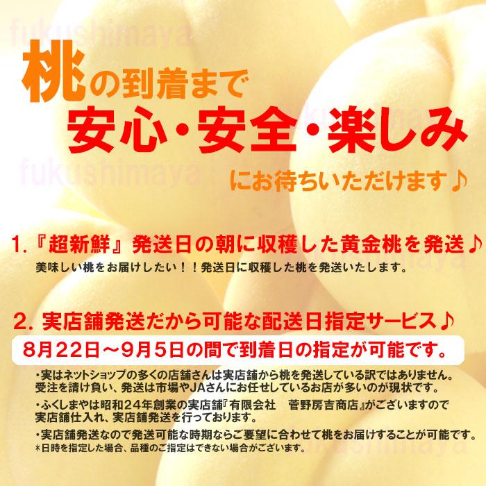 桃 黄金桃 黄貴妃等 福島県 献上桃の郷 桑折町産 5kg箱 12〜18玉入
