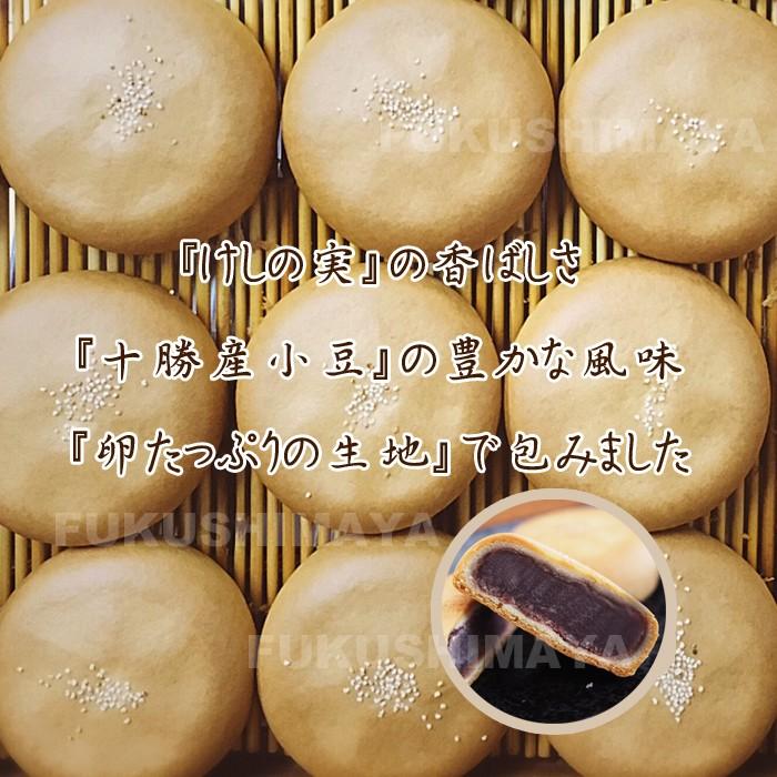 飯坂名物 一味庵 けしまんぢう 10個入 お土産 和菓子 福島土産 Kesimanjuu こだわり横丁 ふくしまや 通販 Yahoo ショッピング