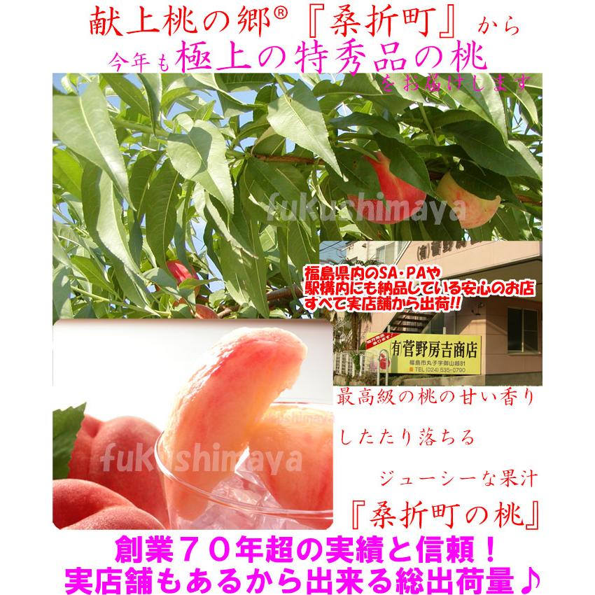 桃 福島県 献上桃の郷 桑折町産 特秀品桃 1.7kg箱 5玉〜7玉入 品種ごと