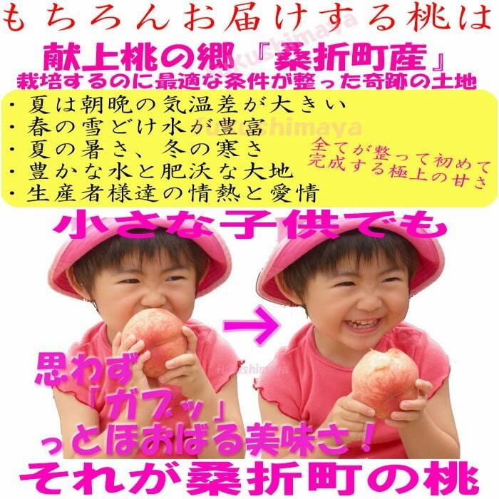 桃 福島県 献上桃の郷 桑折町産 特秀品桃 2.7kg(7〜15玉)×3 家庭用 小玉 7月上旬頃-9月中旬頃まで予定 ※沖縄県への発送不可の画像