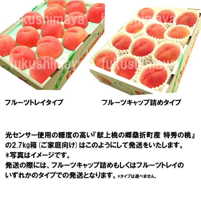 桃 福島県 献上桃の郷 桑折町産 特秀品桃 2.7kg(7〜15玉)×3 家庭用 小玉 7月上旬頃-9月中旬頃まで予定 ※沖縄県への発送不可の画像