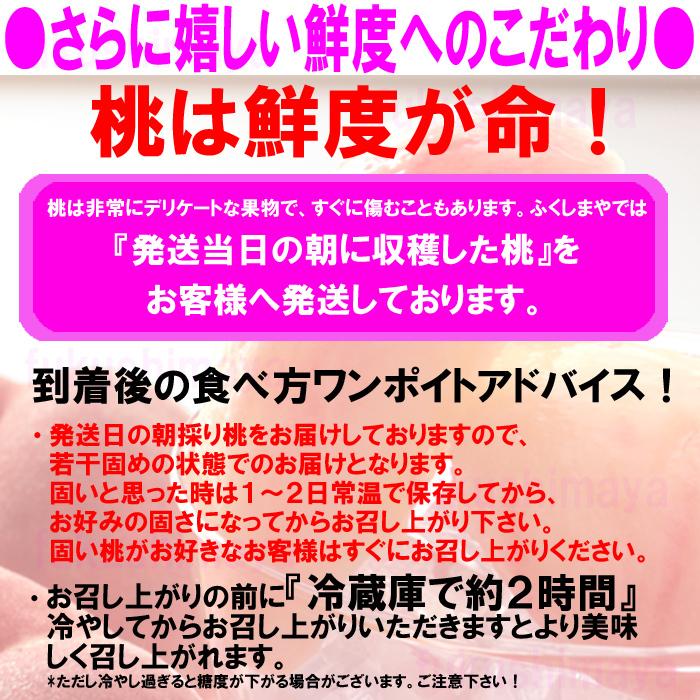 桃 福島県 献上桃の郷 桑折町産 特秀品桃 2.7kg(7〜15玉)×3 家庭用 小玉 7月上旬頃-9月中旬頃まで発送 ふくしまプライド。体感キャンペーン（果物/野菜）｜fukushimasan｜06