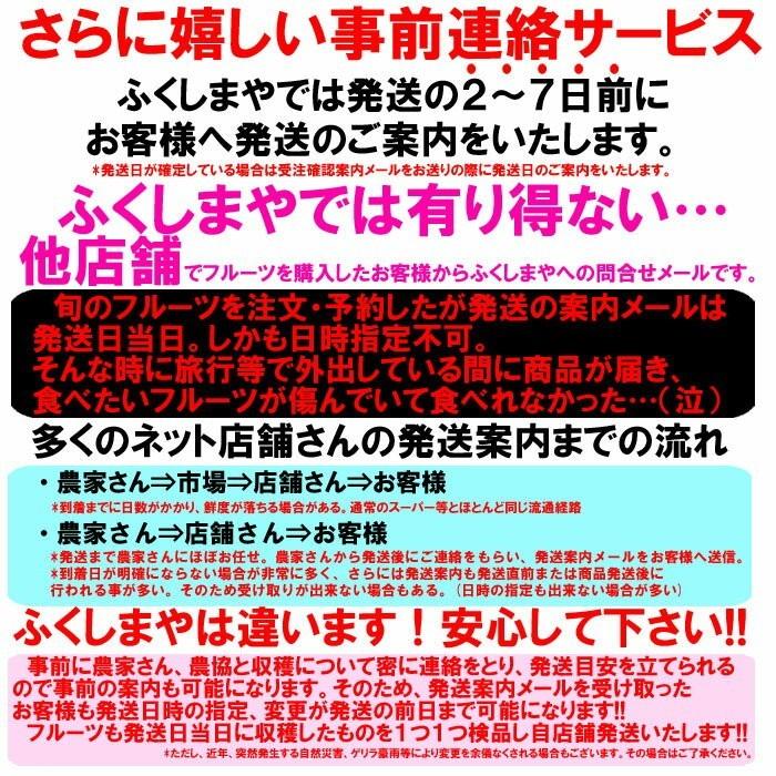 桃 福島県 献上桃の郷 桑折町産 特秀品桃 2.7kg(7〜15玉)×3 家庭用 小玉 7月上旬頃-9月中旬頃まで予定 ※沖縄県への発送不可の画像