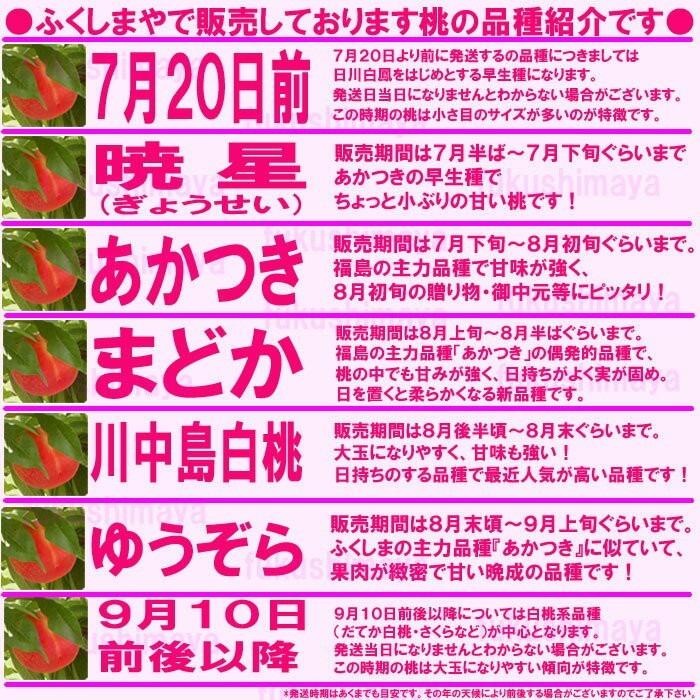 桃 福島県 献上桃の郷 桑折町産 特秀品桃 2.7kg(7〜15玉)×3 家庭用 小玉 7月上旬頃-9月中旬頃まで予定 ※沖縄県への発送不可の画像