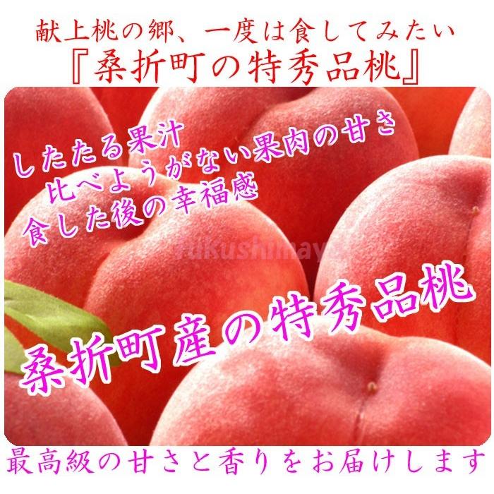 桃 福島県 献上桃の郷 桑折町産 特秀品桃 2.7kg(7〜15玉)×3 家庭用 小玉 7月上旬頃-9月中旬頃まで予定 ※沖縄県への発送不可の画像