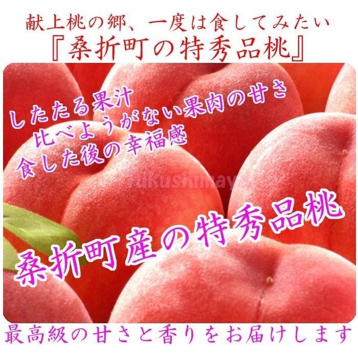 桃 福島県 献上桃の郷 桑折町 特秀桃 4.5kg箱(13〜25玉)×2 家庭用 小玉