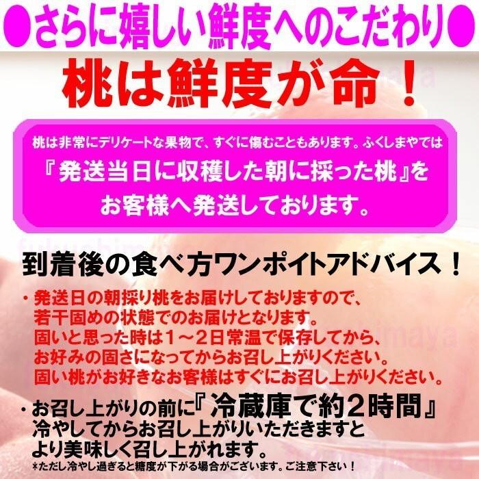 桃 福島県 献上桃の郷 桑折町 特秀桃 4.5kg箱(13〜25玉)×2 家庭用 小玉 7月中旬頃-9月中旬頃まで発送予定 ※沖縄県への発送不可の画像