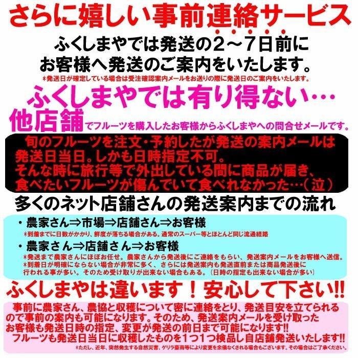 桃 福島県 献上桃の郷 桑折町 特秀桃 4.5kg箱(13〜25玉)×2 家庭用 小玉 7月中旬頃-9月中旬頃まで発送予定 ※沖縄県への発送不可の画像