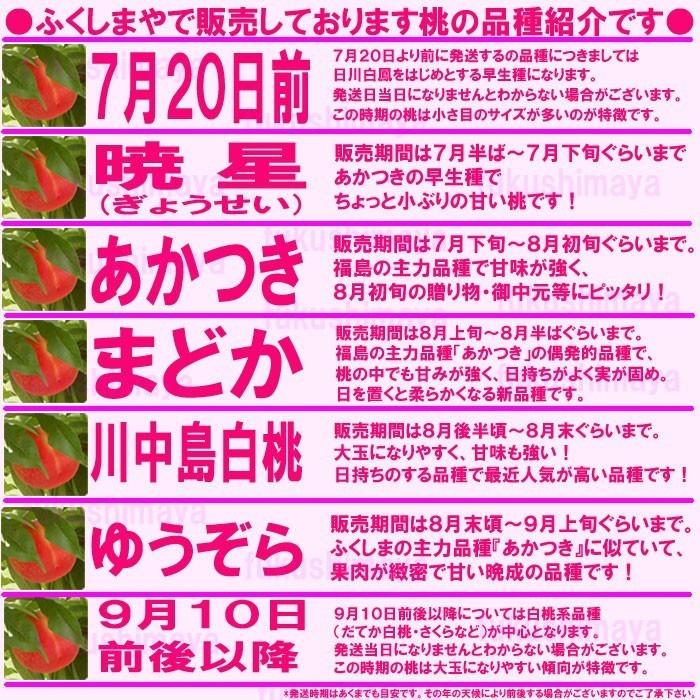 桃 福島県 献上桃の郷 桑折町 特秀桃 4.5kg箱(13〜25玉)×2 家庭用 小玉 7月中旬頃-9月中旬頃まで発送予定 ※沖縄県への発送不可の画像
