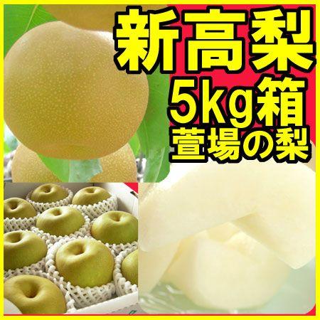 新高 にいたか 梨 5kg箱 (6〜13玉) 福島県 萱場産 かやば産 10月上旬頃 
