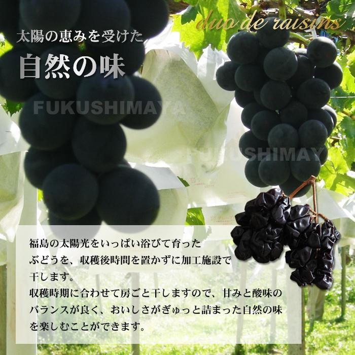 プレゼント ギフト 巨峰 干しブドウ duo de raisins (枝付き 干し