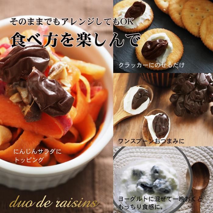 プレゼント ギフト シャインマスカット 干しブドウ duo de raisins (枝