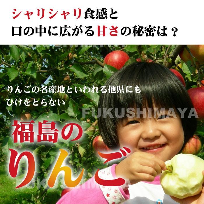 りんご 訳あり 格安 福島県産 訳アリ サンふじ リンゴ 約13.5kg箱(9kg箱+4.5kg箱) 27〜75玉入 家庭用 不揃い  発送可能期間:11月下旬〜3月上旬頃発送｜fukushimasan｜04