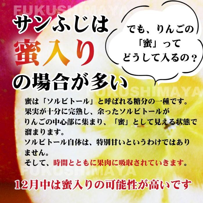 りんご 訳あり 格安 福島県産 訳アリ サンふじ リンゴ 約13.5kg箱(9kg箱+4.5kg箱) 27〜75玉入 家庭用 不揃い  発送可能期間:11月下旬〜3月上旬頃発送｜fukushimasan｜08