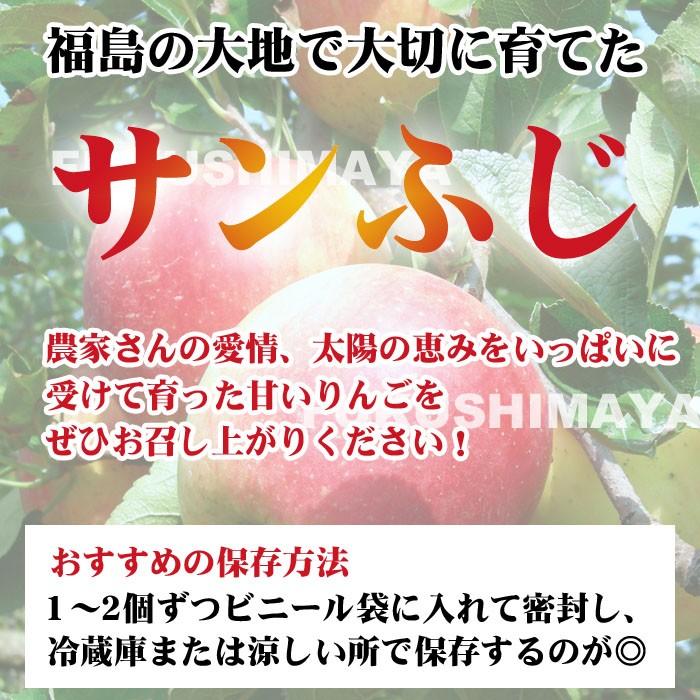 福島県産 サンふじ りんご 約9kg箱 18〜50玉入 訳あり 家庭用 不揃い 傷 訳あり 蜜入 お得 傷 キズ 「ふくしまプライド。体感キャンペーン( 果物/野菜)」 :ringo-w9kg:こだわり横丁 ふくしまや - 通販 - Yahoo!ショッピング 福島県産 サンふじ りんご 約9kg箱 18〜50玉入 訳あり 家庭用 不揃い 傷 訳あり 蜜入 お得 傷 キズ 「ふくしまプライド。体感キャンペーン( 果物/野菜)」 :ringo-w9kg:こだわり横丁 ふくしまや - 通販 - Yahoo!ショッピング