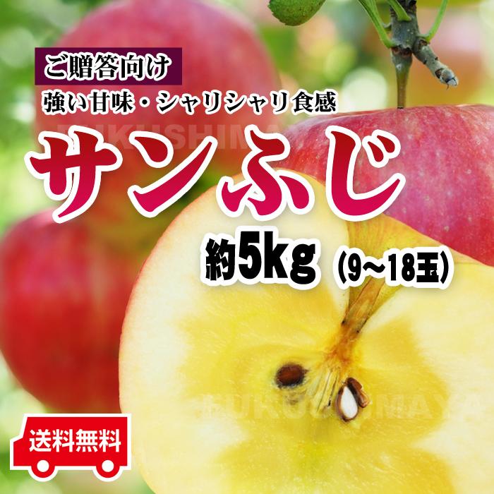 福島県産 サンふじ リンゴ 5kg箱 9 18玉入 ふくしまプライド 体感キャンペーン 果物 野菜 Sanhuji 5kg こだわり横丁 ふくしまや 通販 Yahoo ショッピング