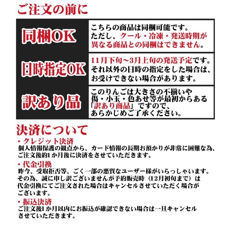 りんご 訳あり 家庭用 福島県産 訳アリ サンふじ リンゴ 4.5kg箱 9〜25玉入 格安 食品ロス 発送可能期間：11月下旬〜3月上旬頃｜fukushimasan｜09