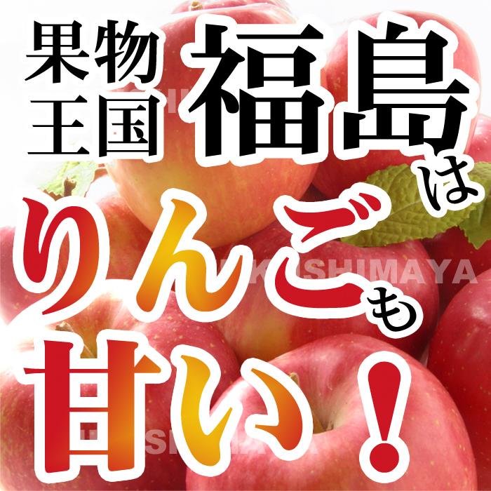 りんご 訳あり 家庭用 福島県産 訳アリ サンふじ リンゴ 4.5kg箱 9〜25玉入 格安 食品ロス 発送可能期間：11月下旬〜3月上旬頃｜fukushimasan｜02